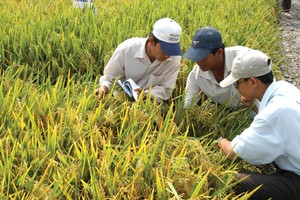 NSC đặt tham vọng doanh thu 2.000 tỷ đồng